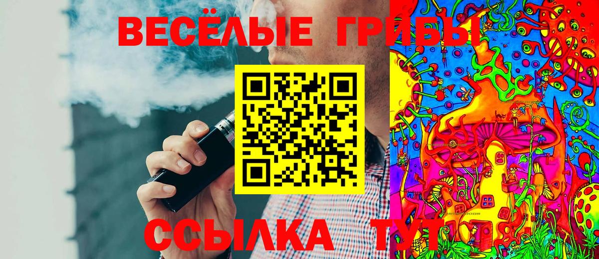 Псилоцибиновые грибы Psilocybe  Вход с VPN  Миллерово 