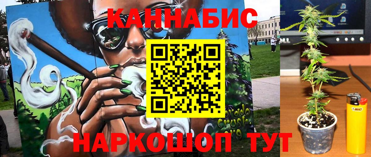 Миллерово  Бошки Шишки THC 21%  Бошки Шишки гибрид  Вход с VPN  Канабис сатива 